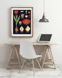 Poster - Tulpaner