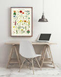 Poster - Vildblommor