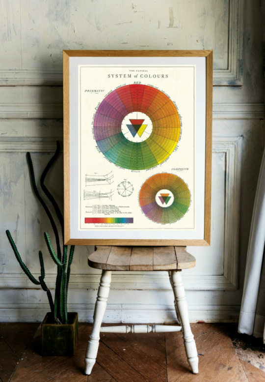 Poster - System of Colors
