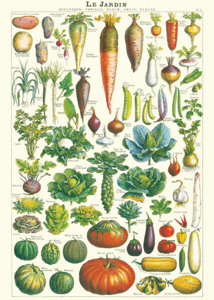 Poster - Garden