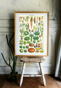 Poster - Garden