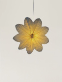 Adventsstjärna \'Daisy\' 60cm - Vit