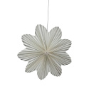 Adventsstjärna \'Daisy\' 60cm - Vit