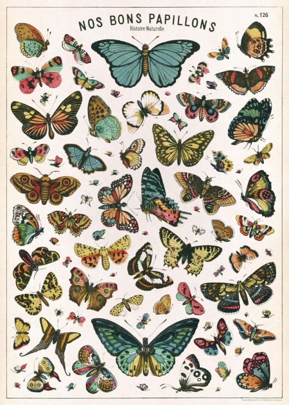 Poster - Nos Bons Papillons