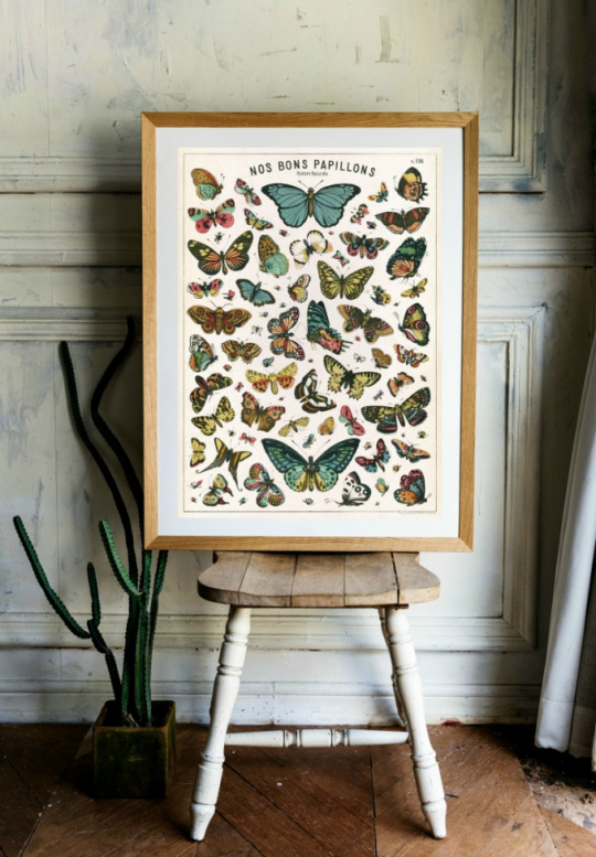 Poster - Nos Bons Papillons