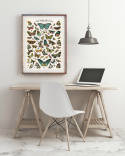 Poster - Nos Bons Papillons