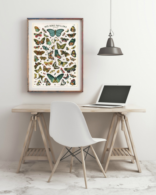 Poster - Nos Bons Papillons