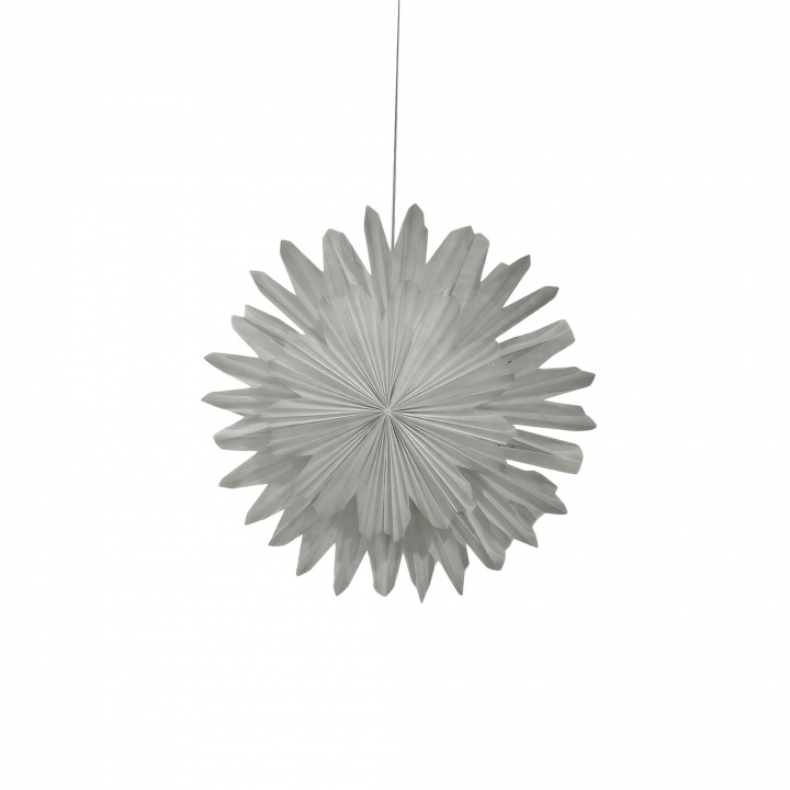 Adventsstjärna 'Lucia' 60cm - Vit