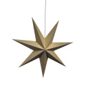 Adventsstjärna \'Sally\' 60cm - Brun