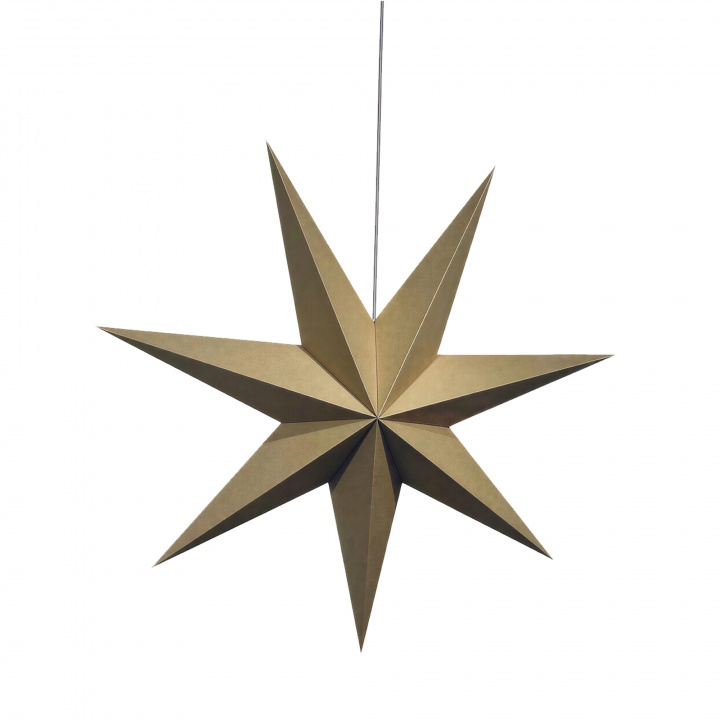 Adventsstjärna 'Sally' 60cm - Brun