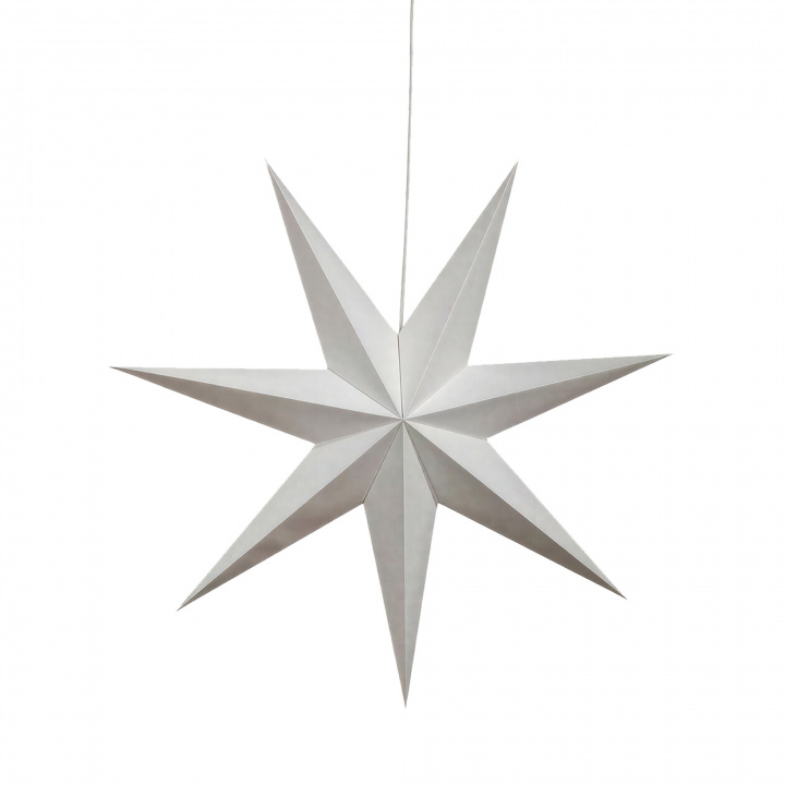 Adventsstjärna 'Sally' 60cm - Vit