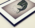 Poster - Vintage Fredskalla