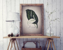 Poster - Vintage Fredskalla