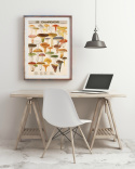 Poster - Les Champignons