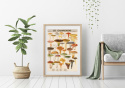 Poster - Les Champignons
